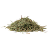 Rosemary Leaf (rosemary officinale)